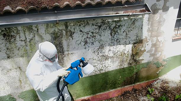 Top rated local Black Mold Remediation specialists in Huntly, VA